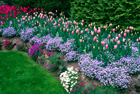 Guest Columns: A blooming idea 