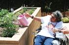 Eldercare that blossoms Eldercare that blossoms