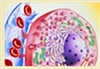 Managing diabetic ketoacidosis in adults