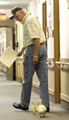 Delivering more than the mail