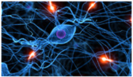 Advances in Alzheimer's Disease Advances in Alzheimer's Disease