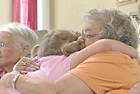 A kindergartner and resident share a special moment at Windsor Place. A kindergartner and resident share a special moment at Windsor Place.