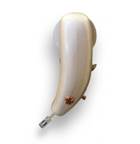 Sophono's hearing device gets federal approval Sophono's hearing device gets federal approval