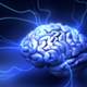 Alzheimer's-detecting PET scans could be on the market within a year Alzheimer's-detecting PET scans could be on the market within a year