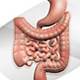 Path of the Patient: Ages and Stages in IBD - EXPIRED Path of the Patient: Ages and Stages in IBD - EXPIRED