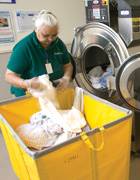 Laundry lifeline Laundry lifeline