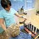 Study: Inpatient rehab shows no advantage over at-home therapy Study: Inpatient rehab shows no advantage over at-home therapy