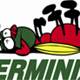Terminix ranks cities with largest bedbug infestations Terminix ranks cities with largest bedbug infestations