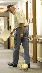 Delivering more than the mail Delivering more than the mail