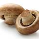 Wild mushrooms kill two senior care residents Wild mushrooms kill two senior care residents