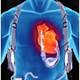 Day to Day Management of Heart Failure Patients by the Primary Care Physician - EXPIRED Day to Day Management of Heart Failure Patients by the Primary Care Physician - EXPIRED