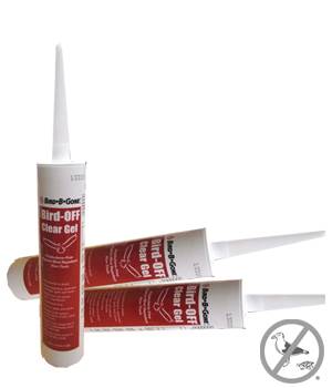 New repellent gel helps deter pest birds New repellent gel helps deter pest birds
