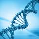 Overlooked genes play a role in wound care healing: study Overlooked genes play a role in wound care healing: study