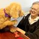 Front Porch Center fosters 'puppy love,' wins top honors in McKnight's Excellence in Technology awards Front Porch Center fosters 'puppy love,' wins top honors in McKnight's Excellence in Technology awards