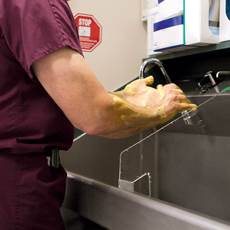 Proper hand hygiene is the No. 1 infection control measure that can help prevent CAUTIs. Proper hand hygiene is the No. 1 infection control measure that can help prevent CAUTIs.