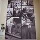 WeMontage provides removable wallpaper WeMontage provides removable wallpaper