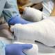 Wound care artistry Wound care artistry