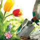 Gardens can ease dementia Gardens can ease dementia
