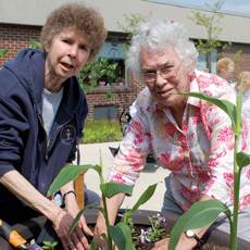 Renovations at St. Andew's Village include courtyard gardens Renovations at St. Andew's Village include courtyard gardens