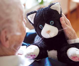 JustoCat was given to residents with dementia in Sweden. JustoCat was given to residents with dementia in Sweden.
