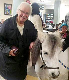 Happy horses, happy residents Happy horses, happy residents