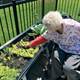 Seeds from all over U.S. spring up at Kentucky nursing home