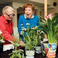 Gardening therapy blooms with provider-vendor pact