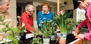 Indoor gardening gives residents a renewed sense of purpose: CEO. Indoor gardening gives residents a renewed sense of purpose: CEO.