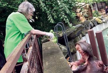 Hippos and tigers and giraffes, oh my! Hippos and tigers and giraffes, oh my!