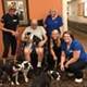 Nurses step in to save resident's dogs from euthanasia