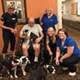 Nurses step in to save resident's dogs from euthanasia Nurses step in to save resident's dogs from euthanasia